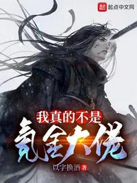 我真的不是氪金大佬